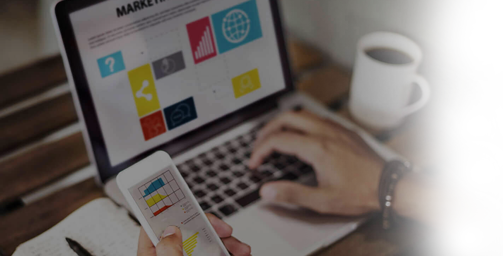 Our Professional Team